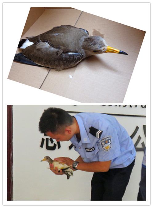 EVO视讯·(中国)官方网站