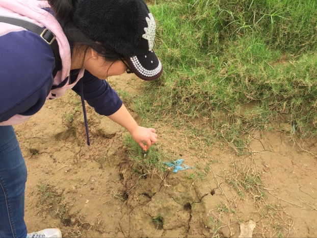EVO视讯·(中国)官方网站