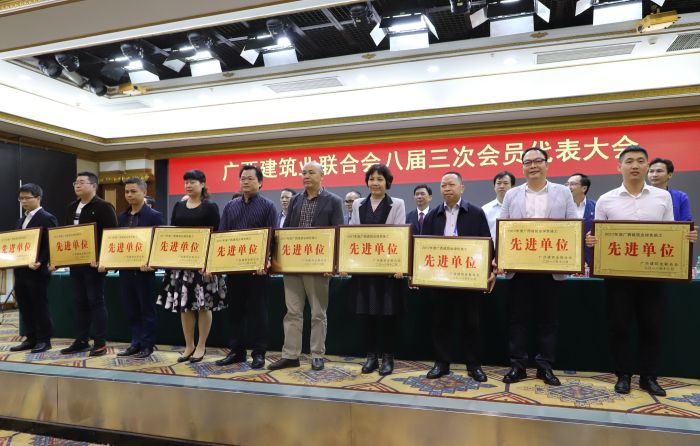 公司副总司理周兴耀代表公司上台领取牌匾。。。。。李立云 摄.jpg
