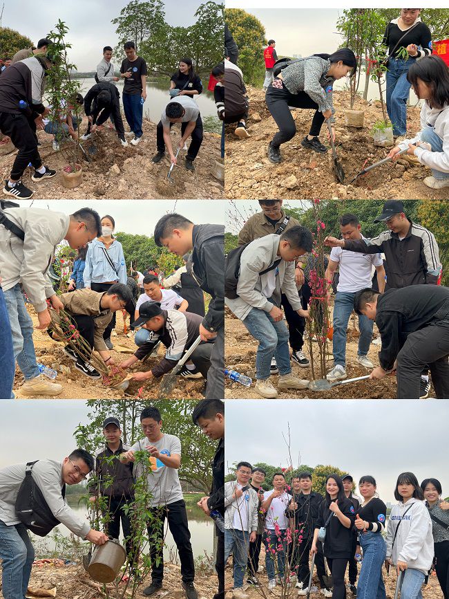 植树现场。。。。。。。；；；；畦磋 摄（修图）.jpg